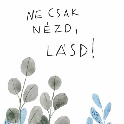 Ne csak nézd, lásd! (akvarell, tollrajz; A5)